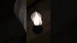 Julia&sup2; lamp