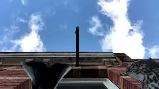 Zoals Frank Zappa Ooit Een Keer Zei_teaser 1
