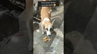Feed animals daily 😊#animals #animallovers #cow #dog #puppy #pets #fun #feed #viral #trending #vlog