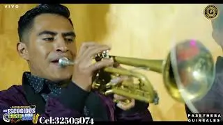 🎶🎧🎤Marimba orquesta los escogidos de Cristo concierto completo full🎧🎶🎤🎵
