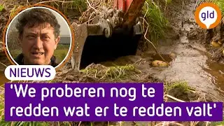 Valt AARDAPPELOOGST in het WATER door REGENVAL? 🌧️🥔