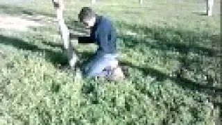 EL IVAN RODANDO