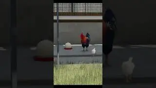 Galo Diferenciado  fs25 #shorts #humor #fs25   #farming #farmingsimulator25