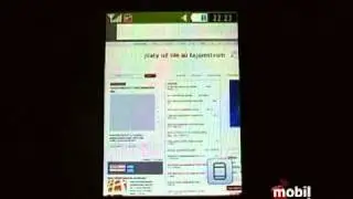 Samsung S5600 Preston: Web