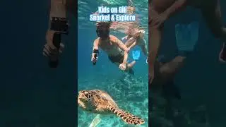 Snorkeling with Turtles and Toddlers 🐢 | Family Adventure in Gili Islands