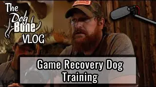 Arrow and the Bowmars: Next Steps in Arrow's Game Recovery Dog Training: Ep: #33