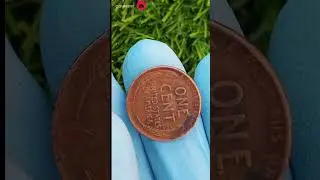 Old Penny = Hidden Treasure 💸. #shorts #valuablecoins #rarecoins #numismatics #coinhunting #american