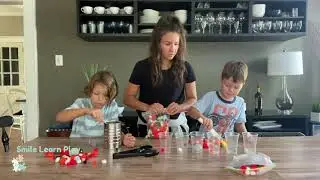 Fine Motor Activity for Kids (Pom Poms)
