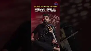 Весёлое задание ~ Raga Change varisai #learnviolin #violin #ragavarisai