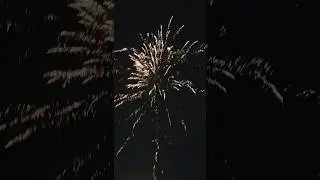 Extreme Fireworks - Gold #fireworks #pyrotechnica #fyrverkerier #pyro #happynewyear #sm&auml;llare
