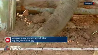 ബത്തേരിയെ വിറപ്പിച്ച പിഎം 2 മെരുങ്ങിത്തുടങ്ങി