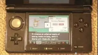 Pokemon Black & White Review