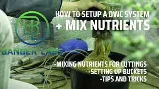 How to setup a Deep Water Culture Hydroponics system + Mixing nutrients for cuttings/seedlings