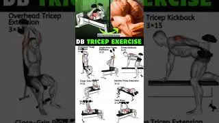 BD TRICEPS EXERCISES 💪 | Build Huge Triceps FAST | Home Workout | No Equipment
