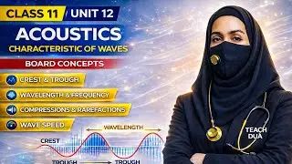 &ldquo;Characteristics of Waves | Frequency, Wavelength, Amplitude & Wave Speed | Chapter 12 Acoustics