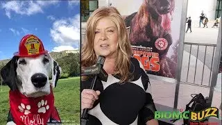 Molly the Fire Saftey Dog Interview at World Premiere of Superpower Dogs