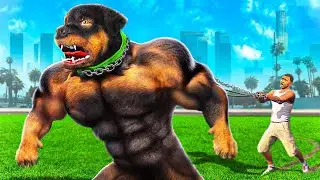 CHOP Se Convierte en EL PERRO MÁS FUERTE DEL MUNDO en GTA 5