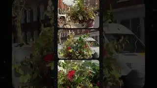 Romantic Red Roses Dinner Setup at The Cadogan Arms London #londonlife  #florist
