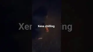 Xena rocwiler