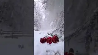 7 грудня 2025 р.