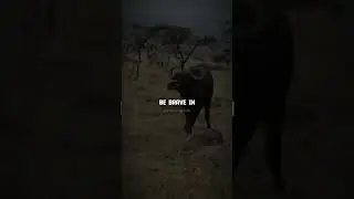 Be brave in the face of obstacles | Motivational speech