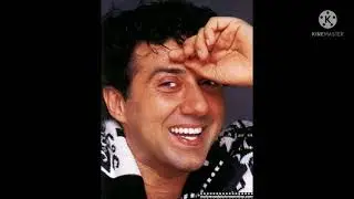 A Tribute To Sunny Deol Special Songs - Popular Hindi Song | audio jukebox