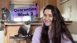 Quarantine Week 2