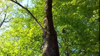 20190522 175914