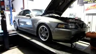 2003 Whipple Cobra dyno, 17psi