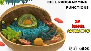 CELL PROGRAMMING: The Future of Biotech #cell #celldivision #cellstructure