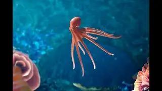 Roris' Garden - Meta Quest Unreal Physic Control Rig Sandbox