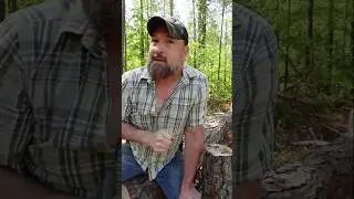 2. Killing Poison Ivy Plants Before They Get You! #ruallife #tree #country #garden #poisonivy