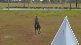 Blind search training