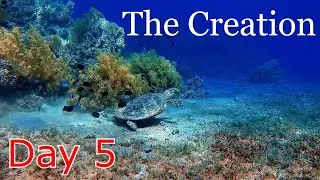 The Creation series day 5