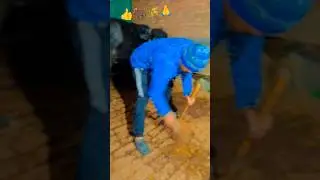 काम के बारे में शर्म नहीं करनी चाहिए #farming #baffalo #cow #comedy #viralvideo #trending #shorts