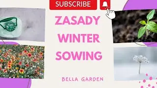 Złote zasady winter sowing 🌿🌶️❤️. Jak przygotować się do siewu zimowego ?