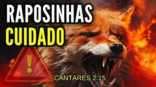CUIDADO COM AS RAPOSINHAS - Cantares 2:15 - Pregação