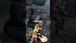 😾 Секретные караваны каджитов, которые вы пропустили в Skyrim #skyrim