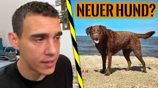 Neuer Hund nach Maya & ist sie bei 7 vs. Wild dabei? | Survival Mattin