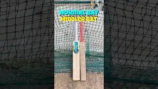 Middler Bat😮 | 2 Batters🏏✅ #Shorts #cricket #trending #jharkhand #bihar #up #yt #cricketwithmahesh