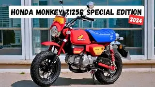 2024 Honda Monkey Z125R Special Edition | Monkey Comes With a Matching Helmet, You Must See It