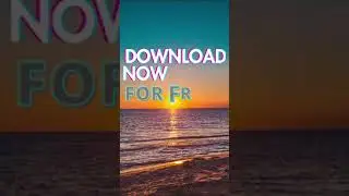 Florida Real Estate Listings - BeMajor Team Application
