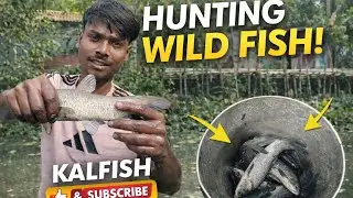 Look at this fish friends 😍Very fresh, very strong&hellip; this is real village fishing! @KaalFisher 