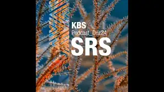 SRS @ KBS Podcast 064