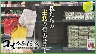【ドキュメント新潟mini】コメクライシス①「魚沼の農家が絶滅危惧種になる」トップブランド“魚沼産コシヒカリ”の産地では今何が起きているのか。