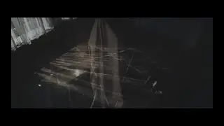 ZOIS - Moonlights (Official Music Video)