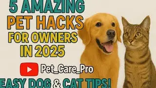 5 Amazing Pet Hacks for Owners in 2025 | Easy Dog & Cat Tips!