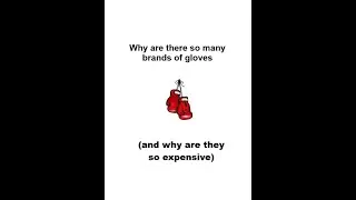 Why are there so many expensive boxing glove brands (Part 1 of 2)