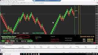 The Future of Forex Automation &ndash; RENKO MONEY MACHINE (OptionClickz-Forex) live trade