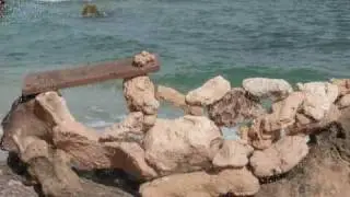 Environmental Art